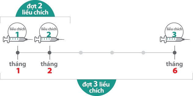 Chích ngừa theo đợt 2 liều hoặc 3 liều