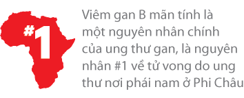 Viêm gan B mãn tính là nguyên nhân chính của ung thư gan, là nguyên nhân #1 gây tử vong nơi phái nam ở Phi Châu