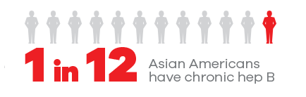 1 in 12 Asian Americans have chronic hep B