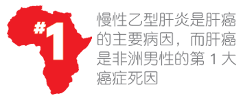 慢性乙肝是肝癌的主要病因，而肝癌是非洲男性的第 1 大死因