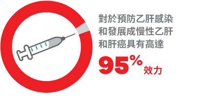 乙肝疫苗的有效率高達 95%