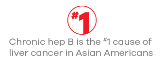 Chronic hep B is the #1 cause of liver cancer in Asian Americans